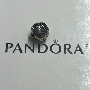 Pandora charm